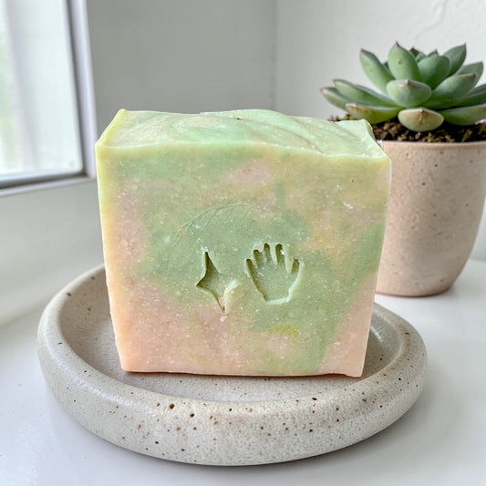 Cedar Grove Soap Bar