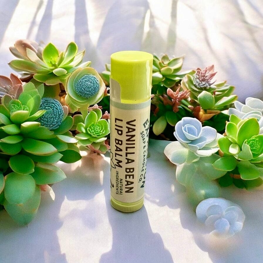 Expression Soap & Candle Company Lip Balm Vanilla Lip Balm